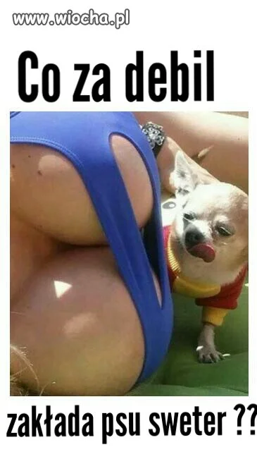 Nie męczcie