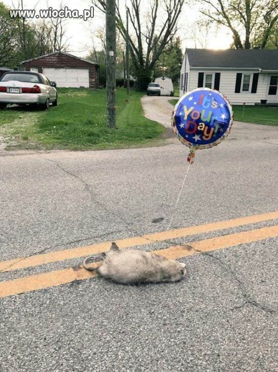 It's your day