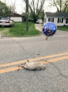 It's your day