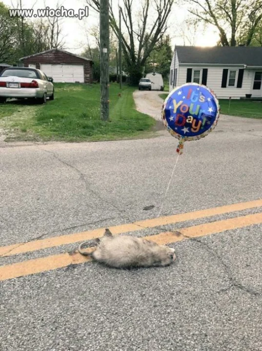 It's your day