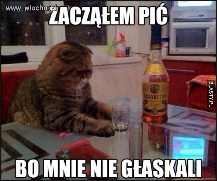 Kotecek