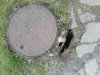 I to niedaleko szkoły poddębice