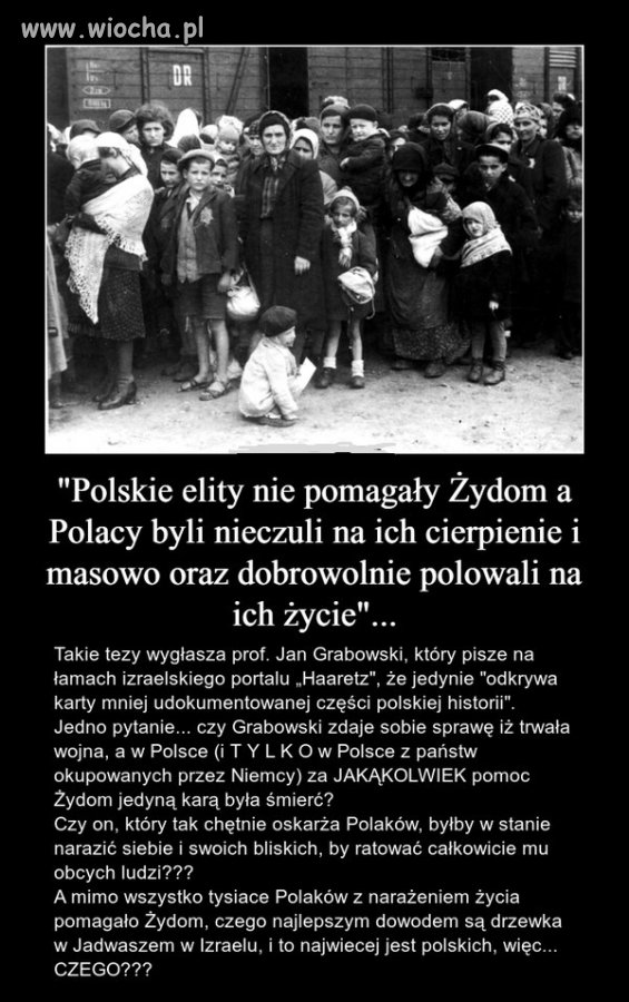 Szkalowania Polski ciąg dalszy...