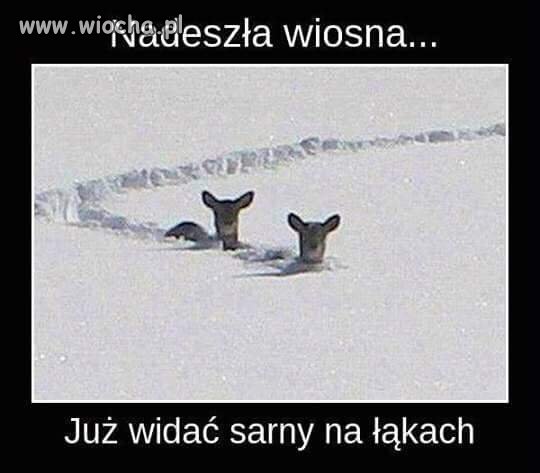 Wiosna