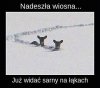 Wiosna
