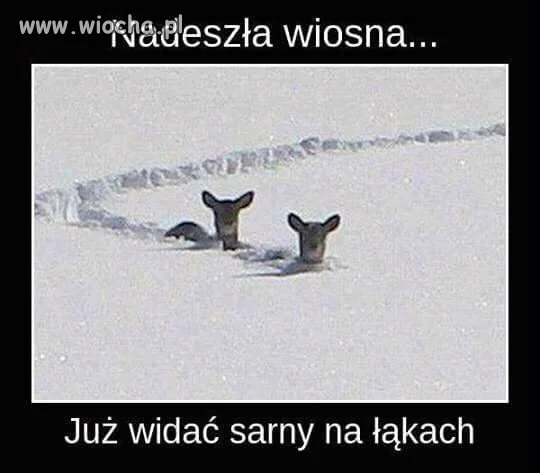 Wiosna