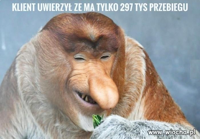 Prawie nówka passacik