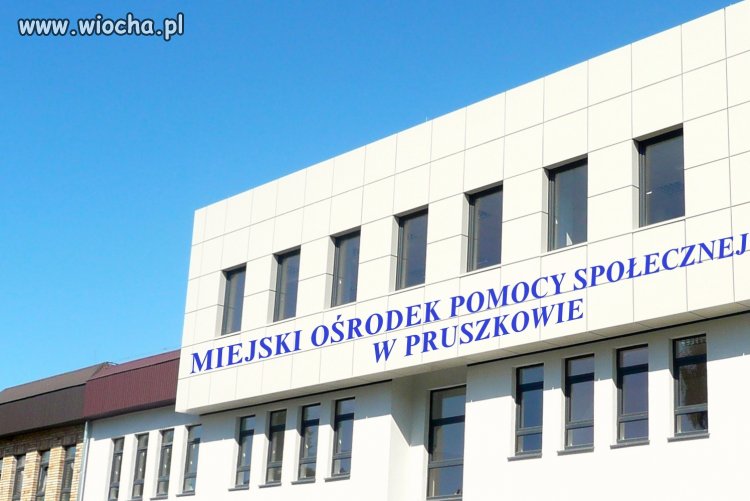 Dlaczego mops nie sprawdza komu pomaga?