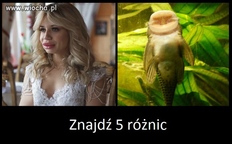 Postaraj się