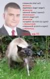 Od kilku dni  w mediach...