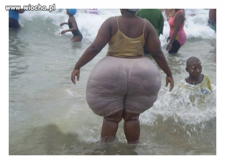 Orka wraca do wody