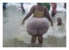 Orka wraca do wody