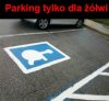 Oznaczenie...