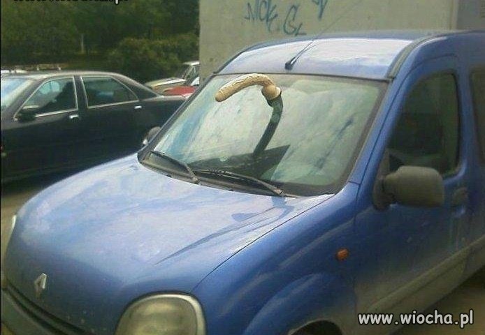 Który mądry był ?