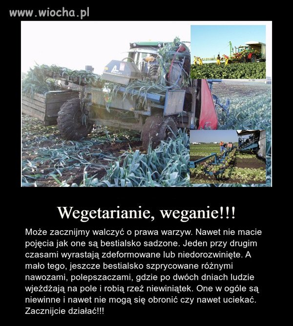 Prawa warzyw