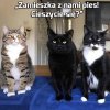 Cóż za entuzjazm