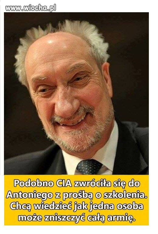 Ekspert