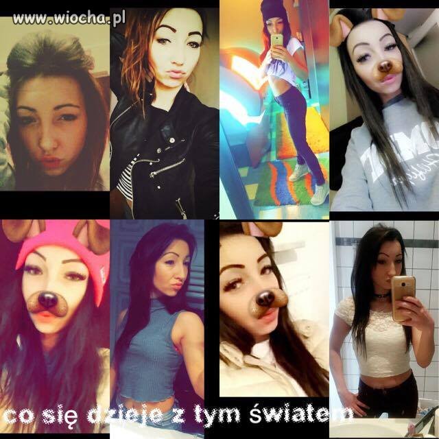 Świat schodzi na psy 