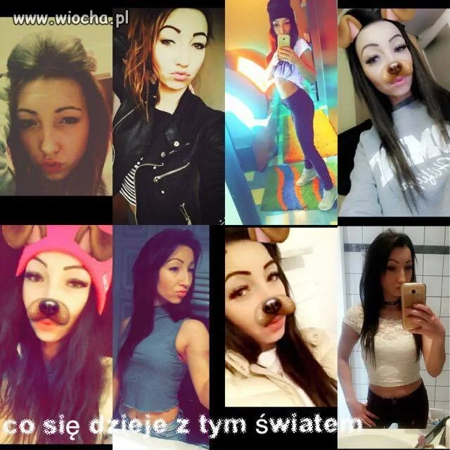 Świat schodzi na psy 