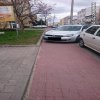 Mistrz parkowania 