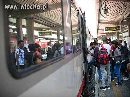 Młodzi uchodźcy zdemolowali ośrodek w Mecklenburgu 