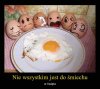 Wesołych  świąt 