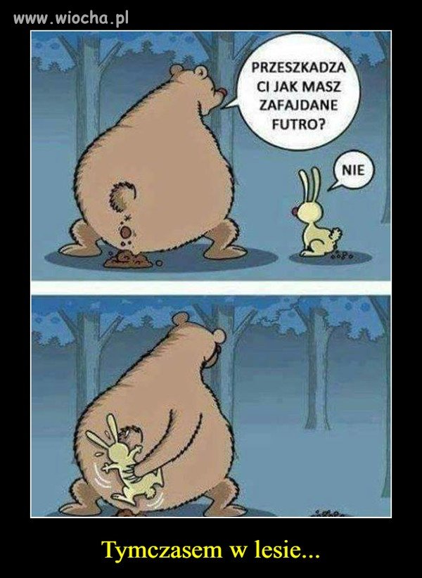 Tymczasem w PiSie ...