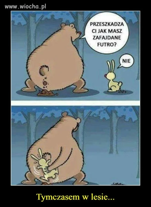 Tymczasem w PiSie ...