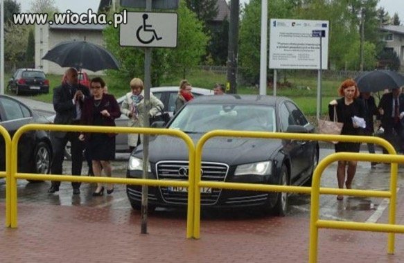 Anna Zalewska następna niepełnosprawna 