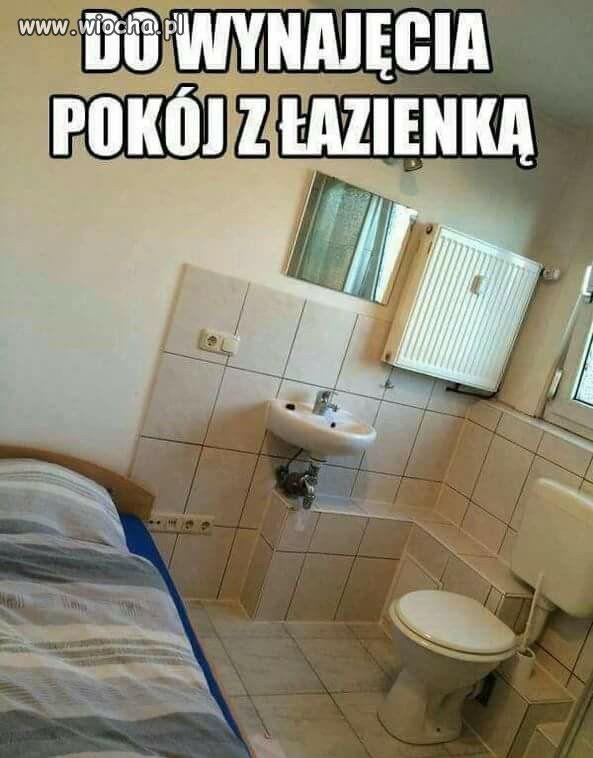 Do wynajęcia 