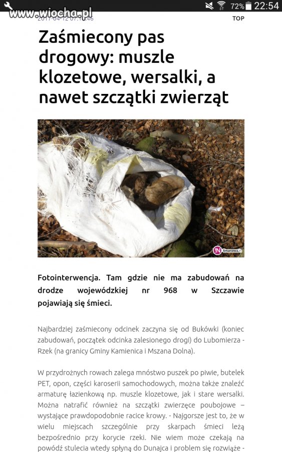 Normalnie dzicz
