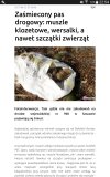 Normalnie dzicz