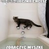 Ciekawość to pierwszy stopień...