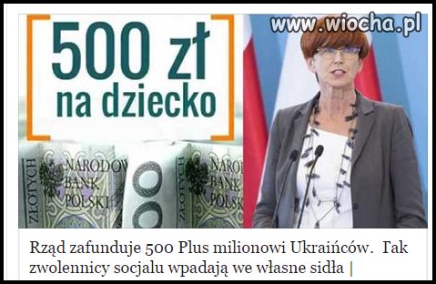 Nie chcieliście ciapatych