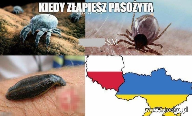 Tak to niestety wygląda