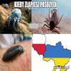 Tak to niestety wygląda