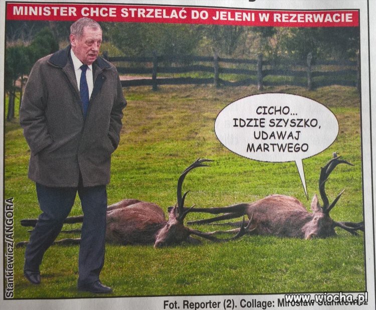 Ministerstwo strzelania do zwierząt 