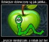 Tylko robaki się zmieniają