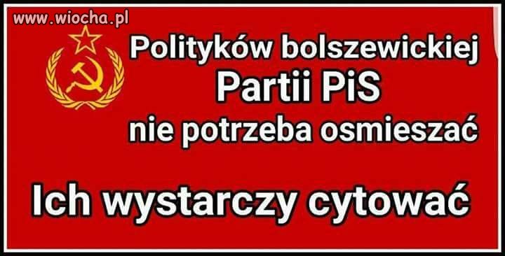 Kogo zacytować?