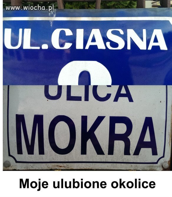 Samo życie