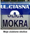 Samo życie