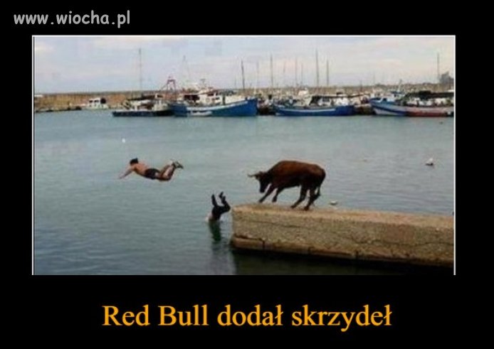 Jednak to prawda