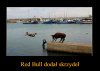 Jednak to prawda