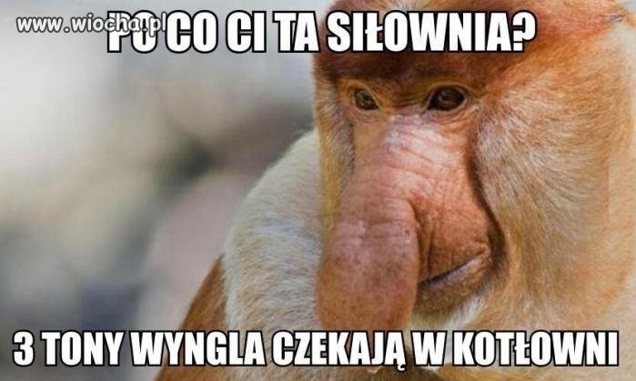Przyjemne z pożytecznym