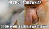 Przyjemne z pożytecznym