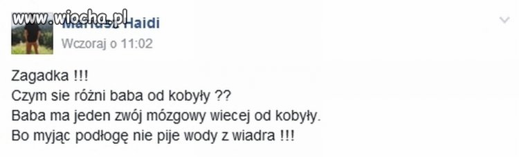 Polak na emigracji