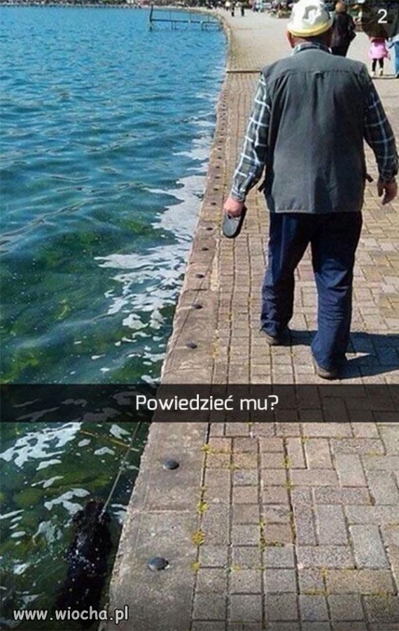 Pies przeWODNIK