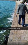 Pies przeWODNIK