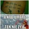Niunia lubi 
