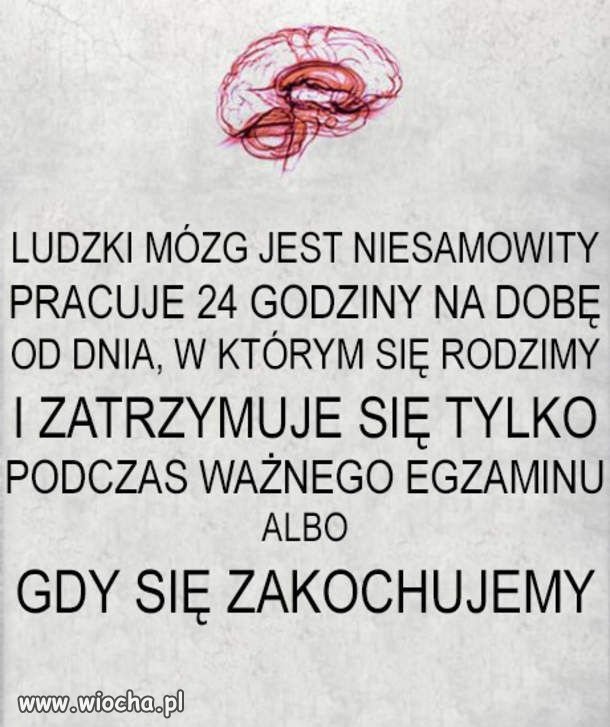 Nie trać głowy...?